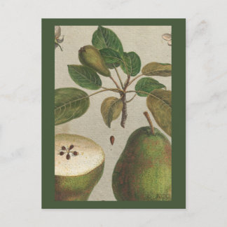 Postal Vida residual de la fruta botánica