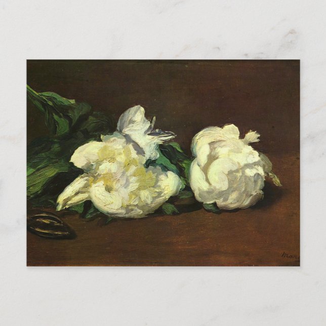 Postal Vida residual, peonías blancas - Edouard Manet (Anverso)