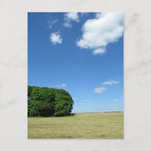 Postal Vida residual rural: Cheshire