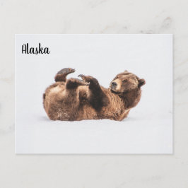 Postal Vida salvaje de oso Alaska
