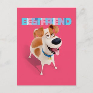 Postal Vida secreta de Mascotas - Max   Mejor Amigo