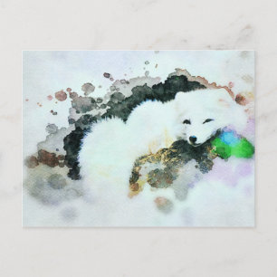Postal *~* Vida silvestre AP18 Nieve Polar Polar Blanco Á
