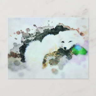 Postal *~* Vida silvestre AP18 Nieve Polar Polar Polar Bl