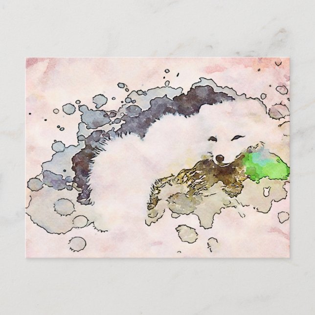 Postal *~* Vida silvestre de Fox Polar Blanco Ártico de N (Anverso)