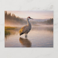 Vida silvestre Grulla canadiense Humedal