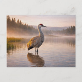 Postal Vida silvestre Grulla canadiense Humedal