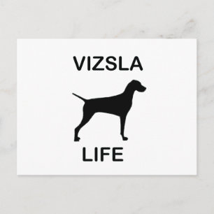 Postal vida vizsla