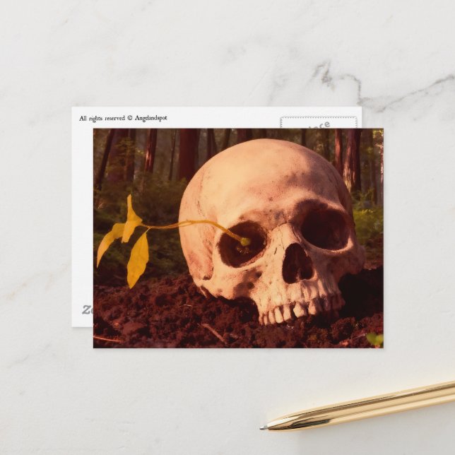 Postal Vida y Muerte (Anverso/Reverso In Situ)