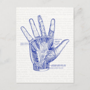 Postal Vieja anatomía dibujando la palma de la mano