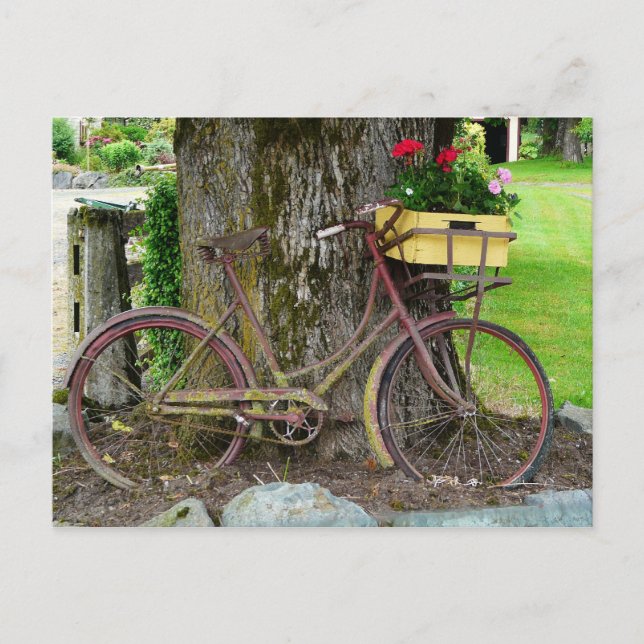 Postal Vieja bicicleta antigua con cesta de flores (Anverso)
