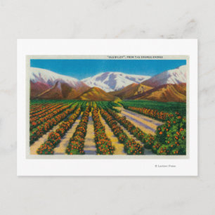 Postal Vieja montaña Baldy de los Naranjas Groves