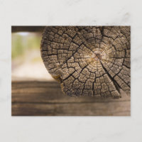 Viejas texturas de madera de cabaña
