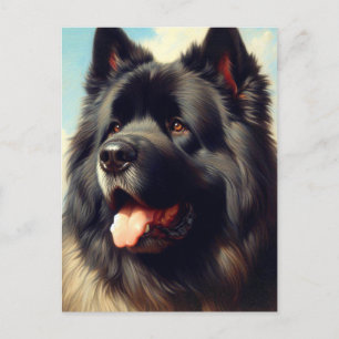 Postal Viejo Bouvier des Flandres Pintura