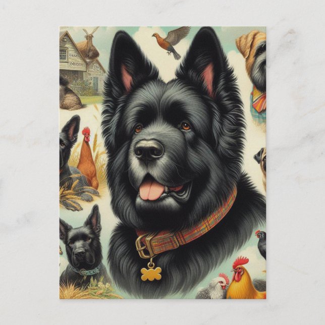 Postal Viejo Bouvier des Flandres Seamless (Anverso)