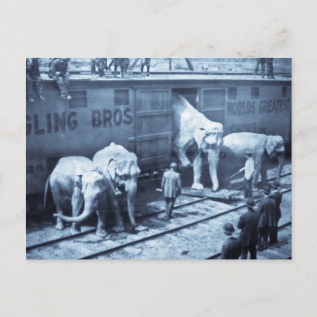 Postal Viejo Circus Elephants Ringling Railroad Car (Anverso)