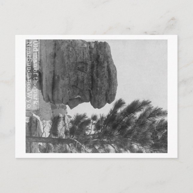 Postal "Viejo hombre" del parque cerca de la fotografía d (Anverso)