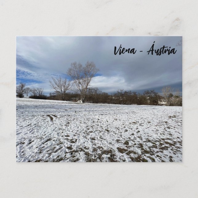 Postal Viena - Austria  (Anverso)