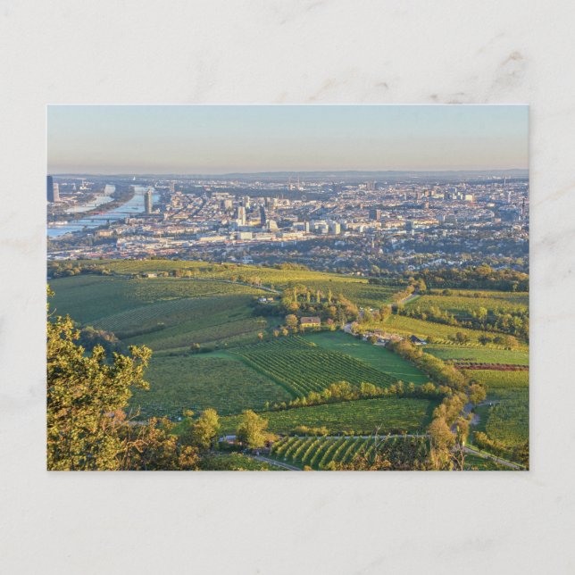 Postal Viena, Austria, Panorama del Kahlenberg (Anverso)