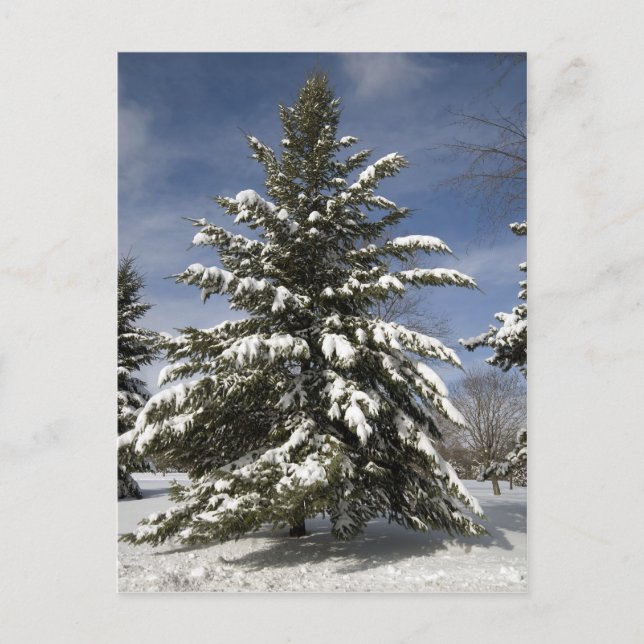 Postal Vienen los inviernos (Anverso)