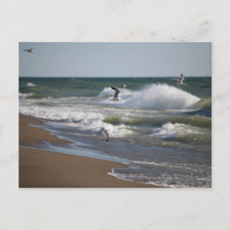 Postal Viento