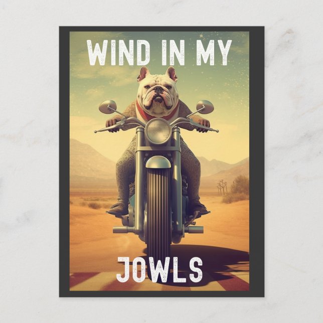 Postal Viento en mis joyas : Un Bulldog montando una moto (Anverso)