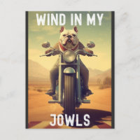 Viento en mis joyas : Un Bulldog montando una moto