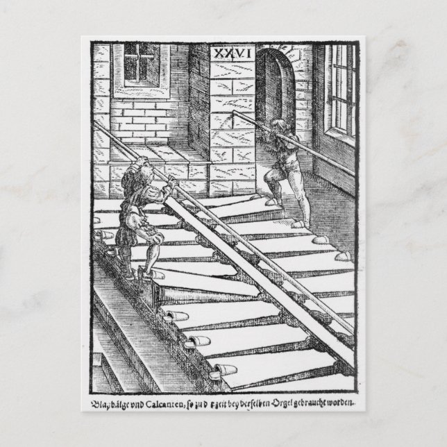 Postal Vigas de órganos y flores (Anverso)