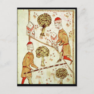 Postal Vigilancia y demarcación de la tierra