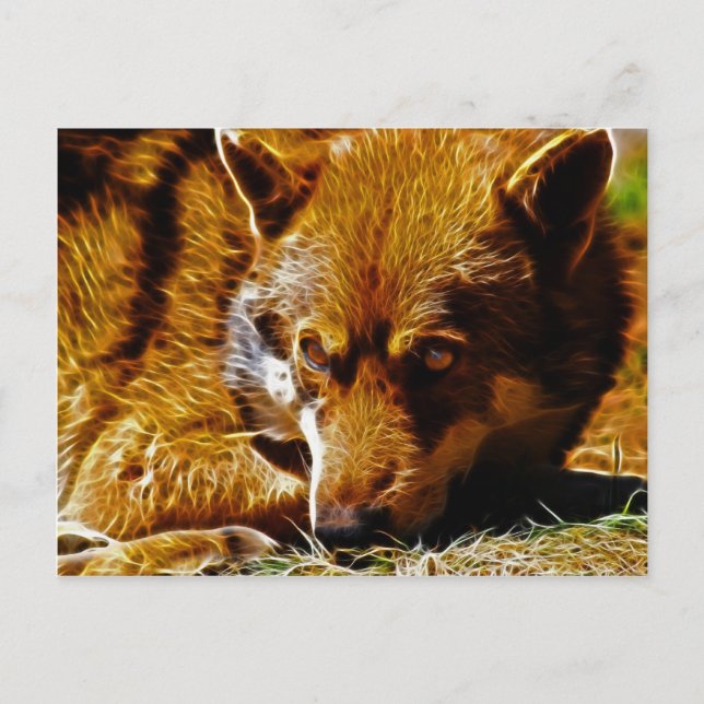 Postal Vigilante (Anverso)