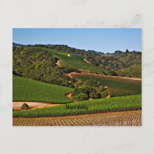 Postal Viña del Valle de Napa