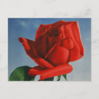 Viñage Montreux Red Rose Suiza Lago Ginebra