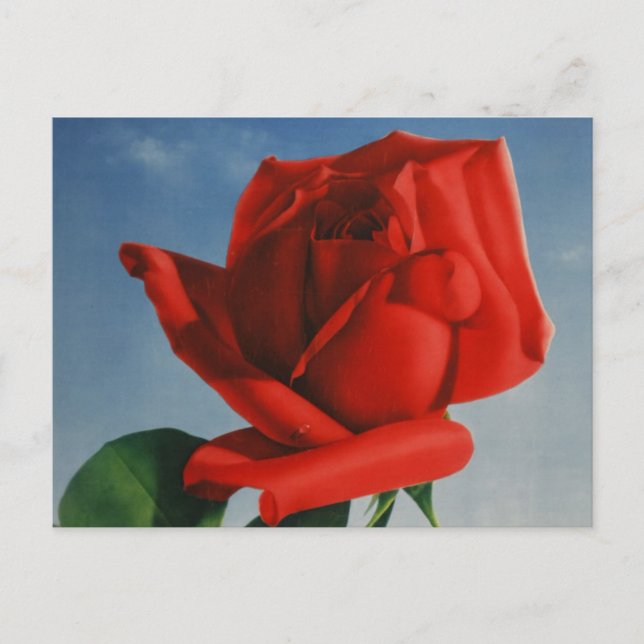 Postal Viñage Montreux Red Rose Suiza Lago Ginebra (Anverso)