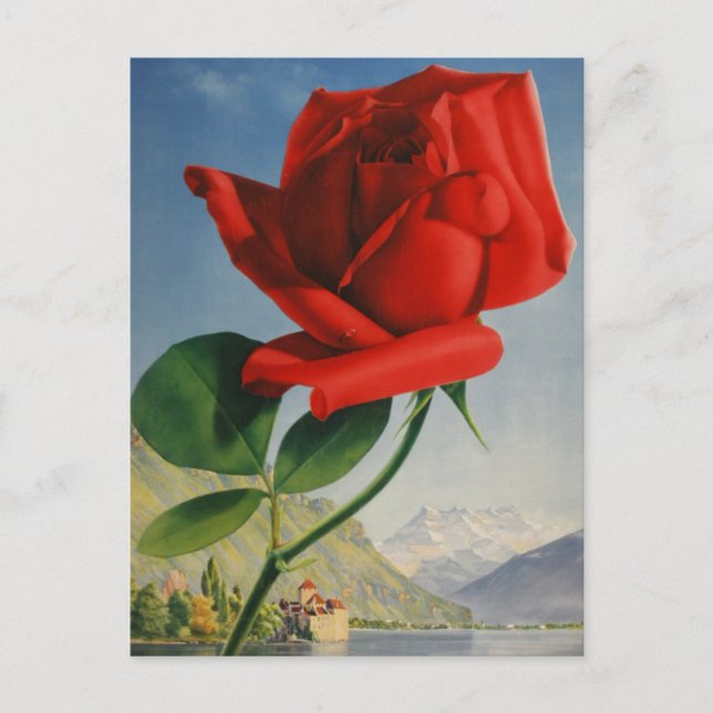 Postal Viñage Montreux Red Rose Suiza Lago Ginebra (Anverso)