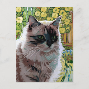 postal Vincent Cat Gogh