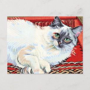 postal Vincent Cat Gogh