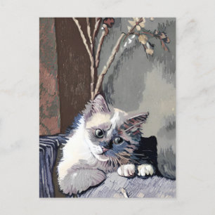 postal Vincent Cat Gogh