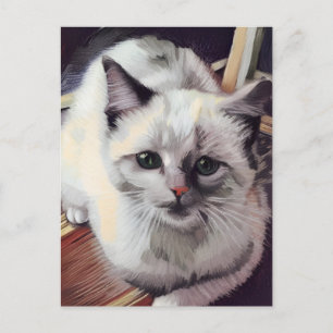 postal Vincent Cat Gogh