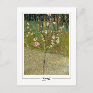 Postal Vincent Van Gogh #14-3 - Arte Refinado