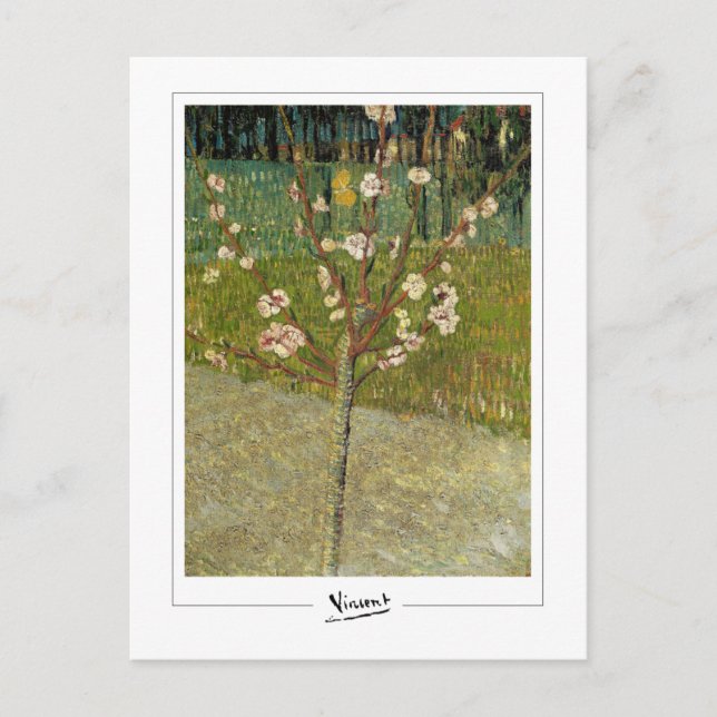 Postal Vincent Van Gogh #14-3 - Arte Refinado (Anverso)