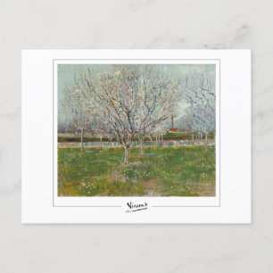 Postal Vincent Van Gogh #20-3 - Bella Artes