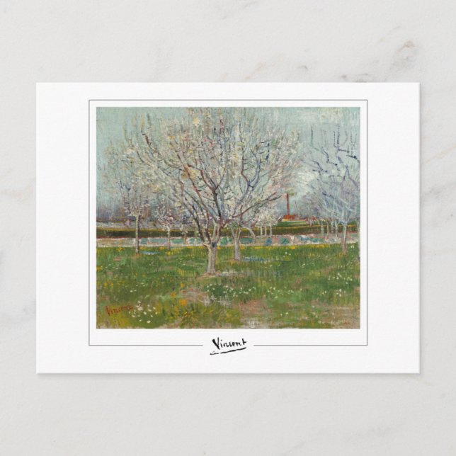 Postal Vincent Van Gogh #20-3 - Bella Artes (Anverso)