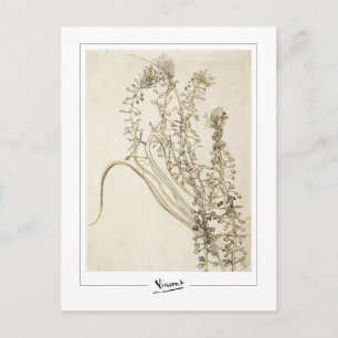 Postal Vincent Van Gogh #356-3 - Arte