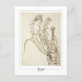 Postal Vincent Van Gogh #356-3 - Bella Artes