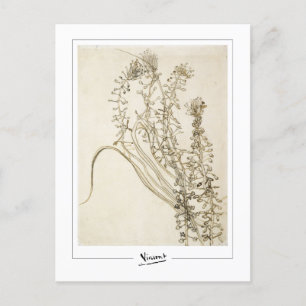 Postal Vincent Van Gogh #356-3 - Bella Artes
