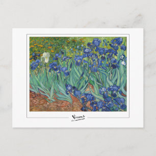 Postal Vincent Van Gogh #45-3 - Arte Refinado