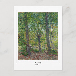 Postal Vincent Van Gogh #51-2 - Arte