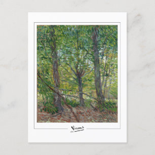 Postal Vincent Van Gogh #51-2 - Bella Artes