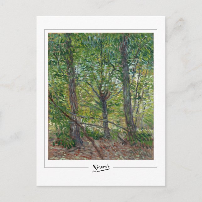 Postal Vincent Van Gogh #51-2 - Bella Artes (Anverso)