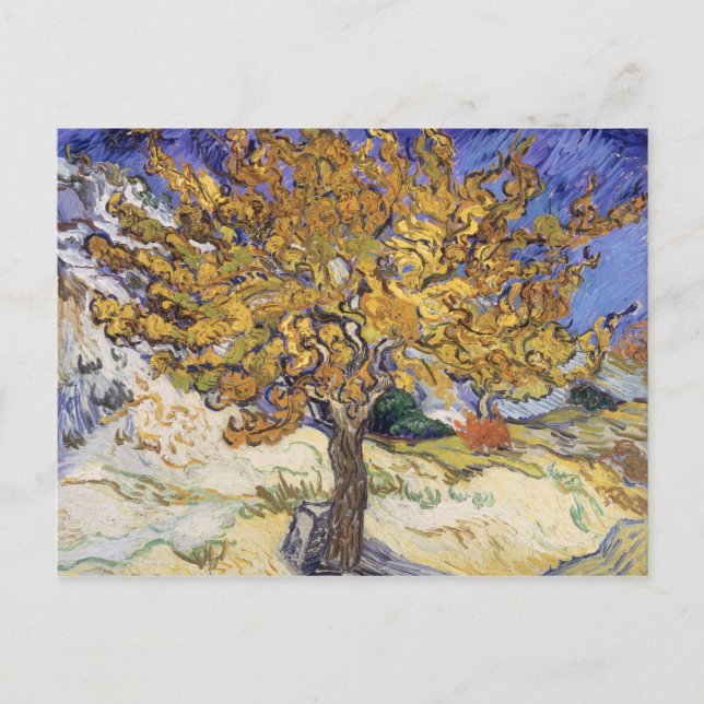 Postal Vincent van Gogh | Árbol de mora, 1889 (Anverso)