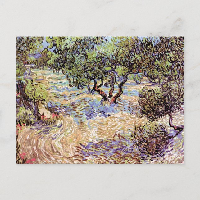 Postal Vincent Van Gogh - Bella Artes de Orchard Olive (Anverso)